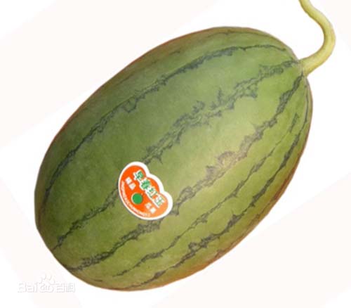 �H���t������